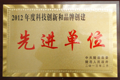 2012年度科技創(chuàng)新和品牌建設(shè)先進(jìn)單位